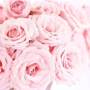 Meet your Posher, Pink